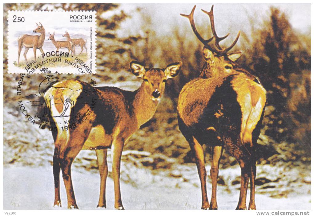 DEER, 1999, CM. MAXI CARD, CARTES MAXIMUM, RUSSIA - Game