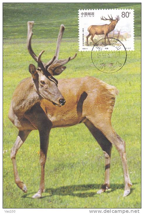 DEER, 1999, CM. MAXI CARD, CARTES MAXIMUM, CHINA - Game