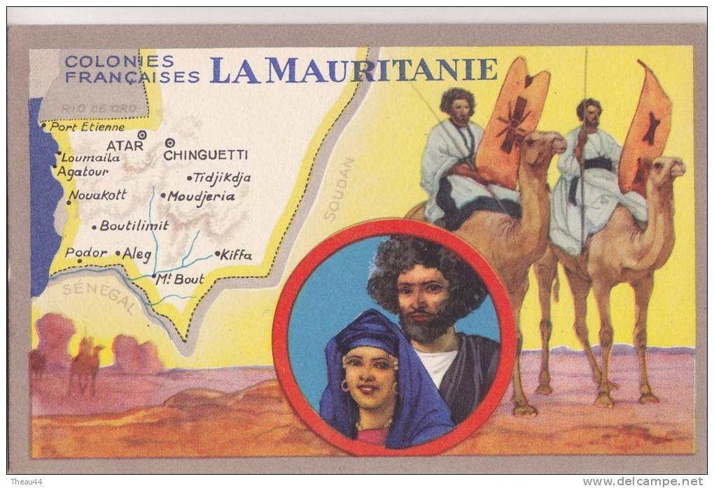 ¤¤  -  MAURITANIE   -  Colonie Française  -  Edition Des Produit Du Lion Noir  -  ¤¤ - Mauritanie