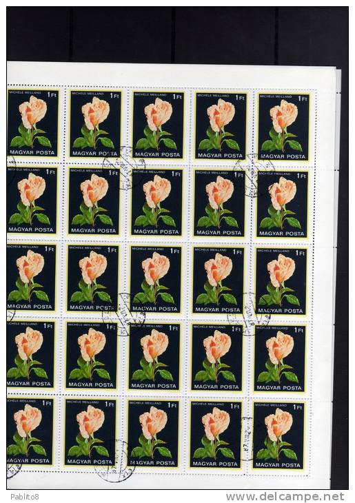 HUNGARY - UNGHERIA - MAGYAR 1982 MICHELE MEILLAND FLOWER ROSE - FIORE ROSA SHEET USED - Volledige & Onvolledige Vellen