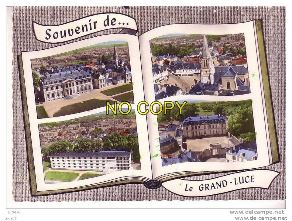 LE GRAND LUCE  - Souvenir -  4 Vues Dans Un Fond De Livre : Château, Eglise, Centre Du Cure, Cour D´Honneur - N° 115 - Le Grand Luce