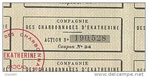 ACTION - CHARBONNAGES D´EKATHERINE - 1927. - Mineral