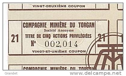 ACTION - MINIERE DU TORGAN - AUDE - 1948. - Mines