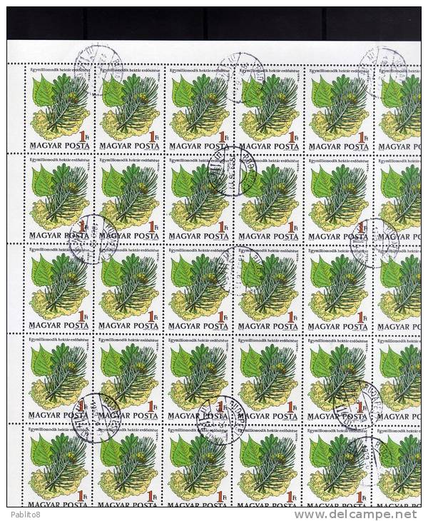 HUNGARY - UNGHERIA - MAGYAR 1976 Poplar. Oak Pine Tree Foliage And Map Geography, Maps Afforestation SHEET - FOGLIO USED - Feuilles Complètes Et Multiples