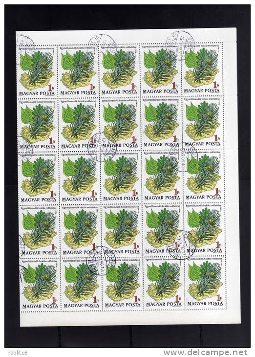 HUNGARY - UNGHERIA - MAGYAR 1976 Poplar. Oak Pine Tree Foliage And Map Geography, Maps Afforestation SHEET - FOGLIO USED - Emisiones Locales