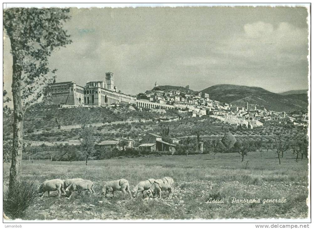 Italy, Assisi, Panorama Generale, Used Postcard [P9818] - Perugia