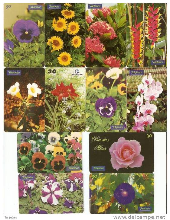 LOTE DE 30 TARJETAS DIFERENTES DE BRASIL DE FLORES Y PLANTAS (FLOWER) - Collections