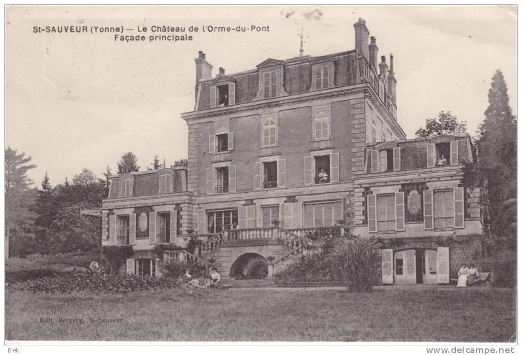 89. Yonne . Saint Sauveur : Le Chateau De L ' Orme Du Pont  . - Saint Sauveur En Puisaye