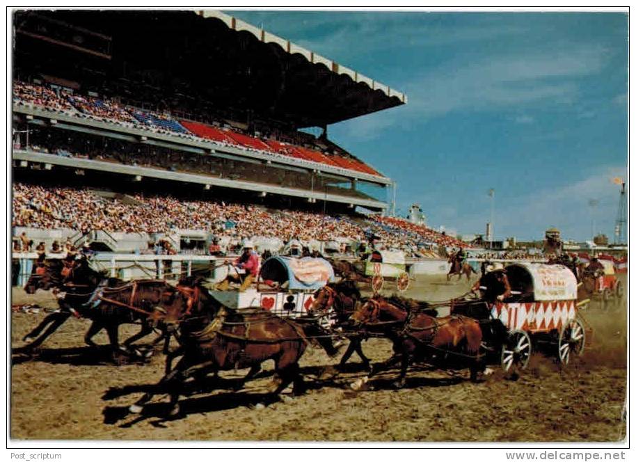 Amérique - Canada - Alberta - Calgary Exhibition Stampede - Calgary