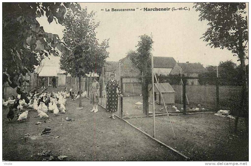 Loir Et Cher  : Réf : H-12-0242 : Marchenoir  La Beauceronne - Marchenoir