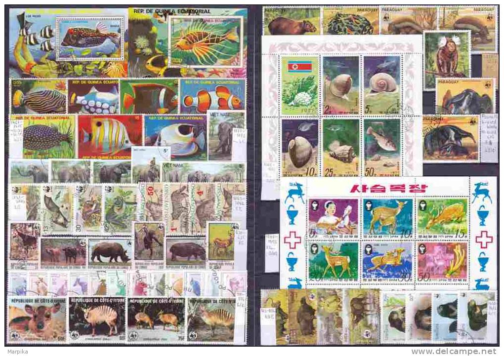 Fauna World Wide 14 Different, Beautiful, Complete Used Sets And Blocks 13 - Verzamelingen (in Albums)