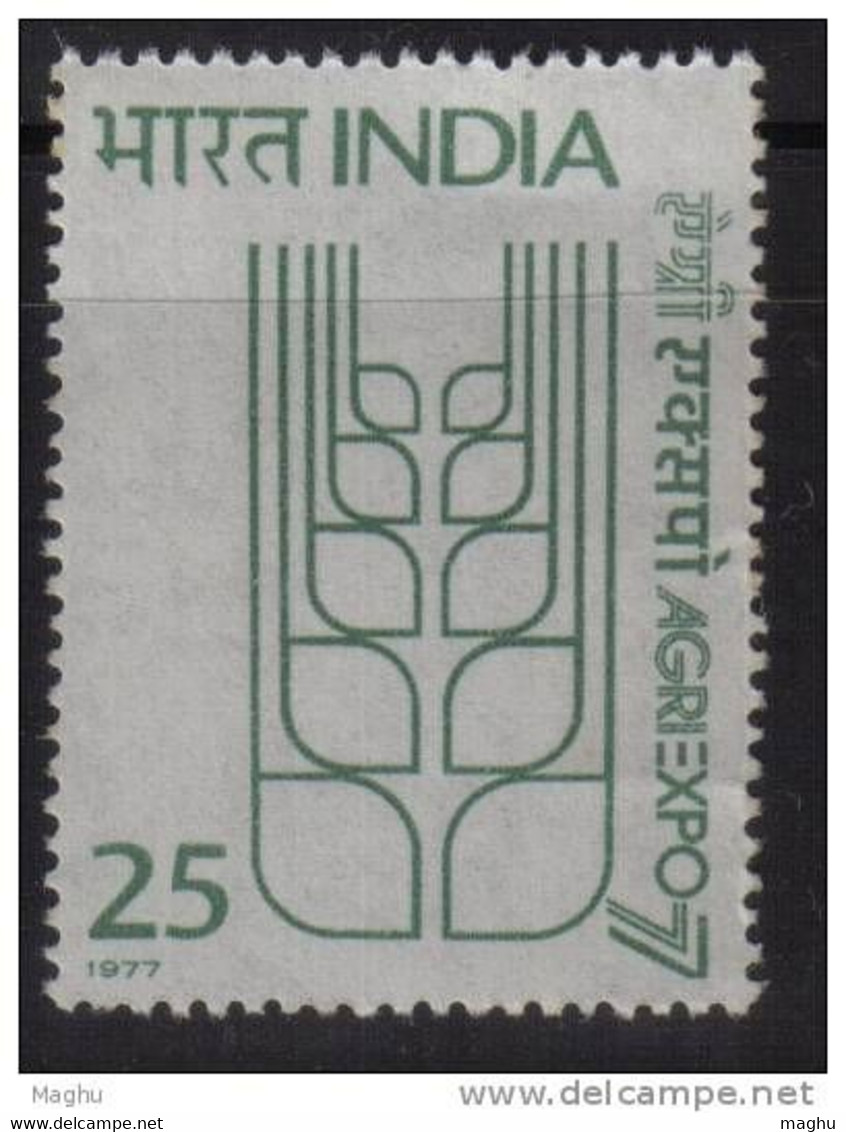 India MNH 1977, Agriculture Exposition, Stylish Grain Stalk, - Neufs