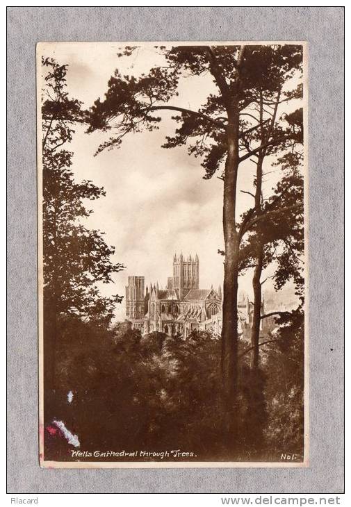 29771     Regno  Unito, Wells  Cathedral  Trough  Trees,  NV  (Scritta) - Wells