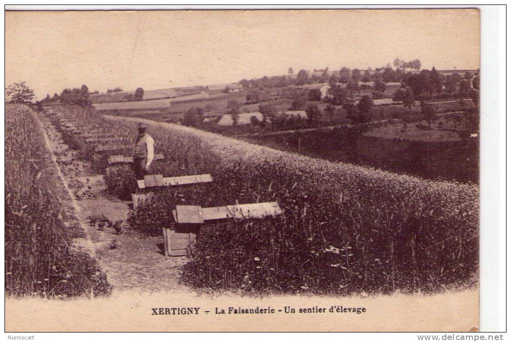 Xertigny..animée..La Faisanderie..élevage..faisans - Xertigny