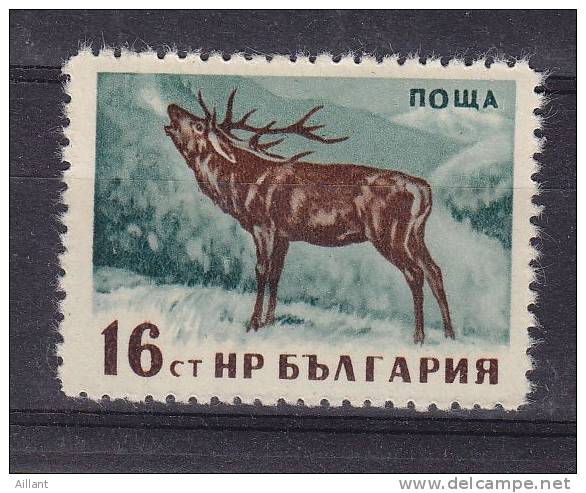 Bulgarie. Bulgaria.Cerf. Stag  ** - Game