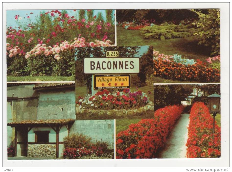 CP BACONNES, VILLAGE FLEURI, PANCARTE ENTREE COMMUNE, MARNE 51 - Rilly-la-Montagne