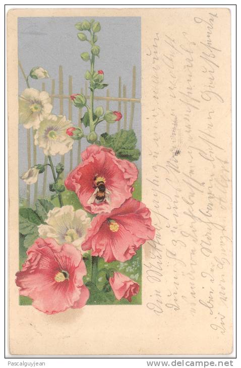 CPA ABEILLE BUTINANT DES ROSES TREMIERES - Insectes