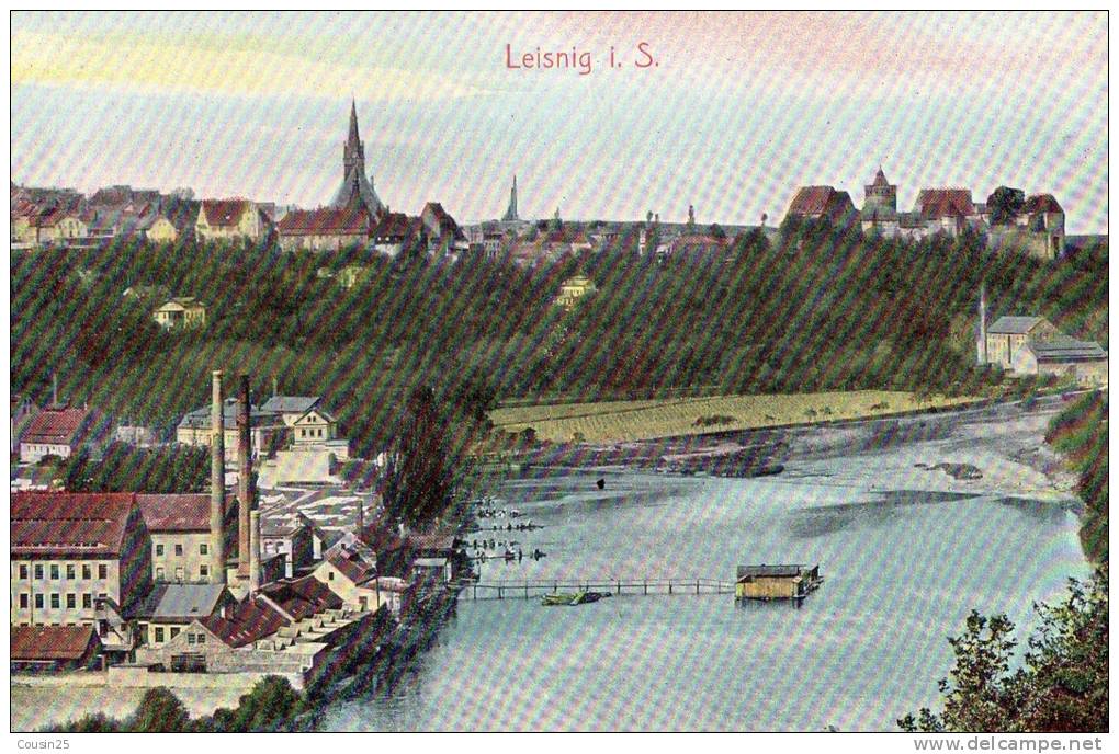 ALLEMAGNE - LEISNIG - Vue Générale - Leisnig