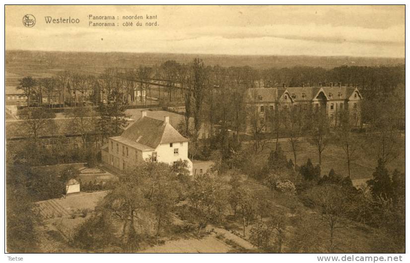 Westerloo - Panorama : Noorden Kant -192?  ( Verso Zien ) - Westerlo