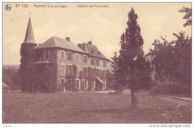 HAMOIR = Château Des Fourneaux (Nels) Vierge - Hamoir