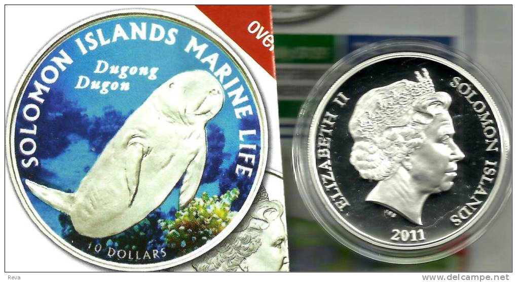 SOLOMON ISLANDS $10 DUGONG MARINE ANIMAL COLOURED FRONT QEII HEAD BACK 2011 SILVER PROOF READ DESCRIPTION CAREFULLY !!! - Salomonen