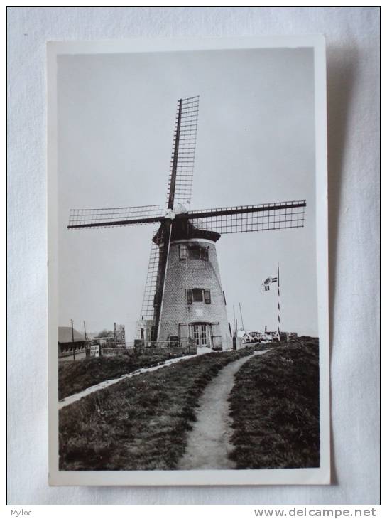 Doel. Molenmuseum.Moulin - Beveren-Waas