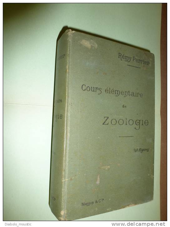 Cours élémentaire De ZOOLOGIE  Avec 848 Figures    Par Rémy Perrier...éditeur Masson Et Cie - Wissenschaft