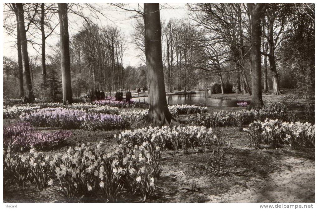 29867      Paesi  Bassi,    Lisse -  Keukenhof,  VGSB  1960 - Lisse