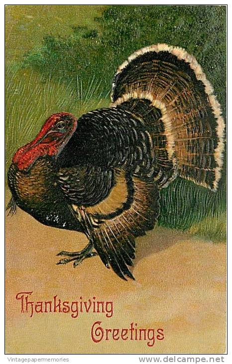 184303-Thanksgiving, PFB No 7721, Turkey, Embossed Litho - Thanksgiving