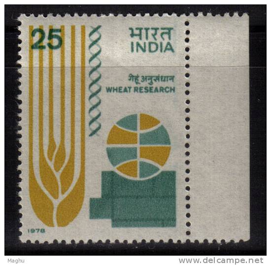 India MNH 1978, , Inter., Wheat Genetics Symosium, Wheat, For Food - Neufs