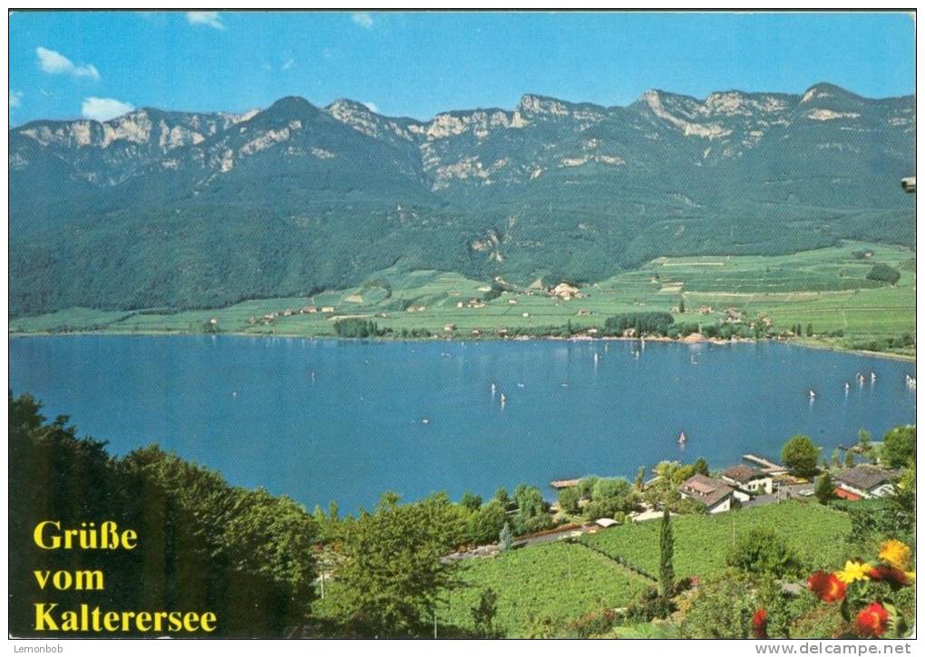 Sudtirol, Grusse Vom Kalterersee, Unused Postcard [P9905] - Other & Unclassified