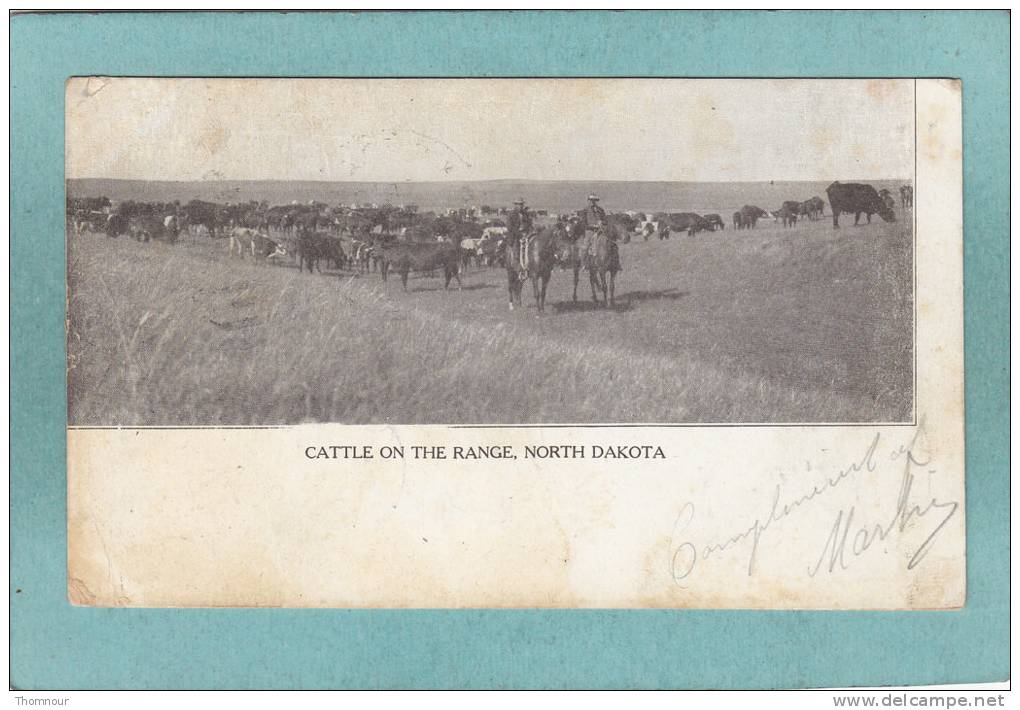 CATTLE ON THE RANGE  - NORTH DAKOTA  -  1907  -   CARTE PRECURSEUR ANIMEE - - Altri & Non Classificati