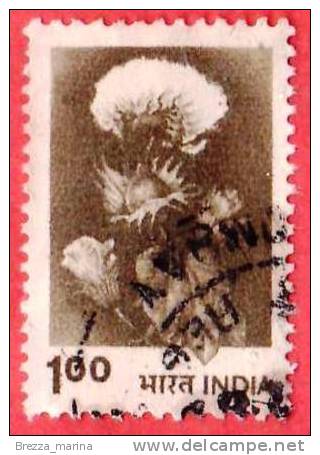 INDIA - 1979 - USATO - Piante Di Cotone - Cotton - 1 - Gebraucht