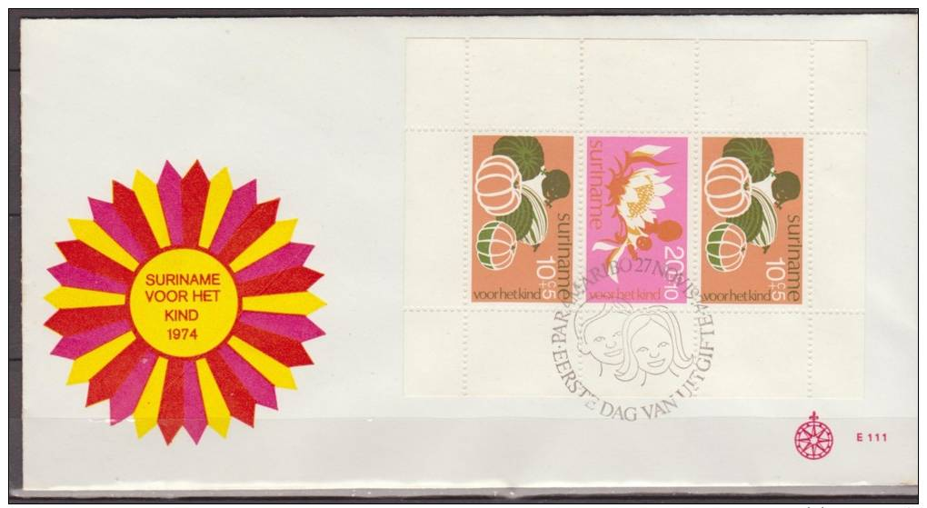 Suriname, 1974, Children, Fruits, Birds, Flower, Cereal Grain Crop, Block, E111, FDC - Altri & Non Classificati