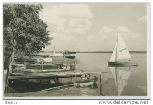 Klein Köris - Kr Königs Wulterhaufen - Voilier/ship/schiff/boat - Carte Photo Ancienne - Koenigs-Wusterhausen