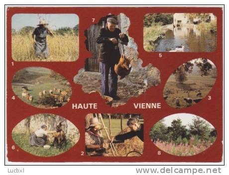 1189-France 87-Haute Vienne-Travaux Des Champs-Multivues - Autres & Non Classés