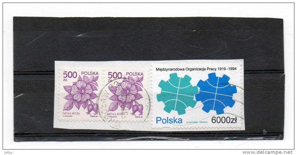 POLOGNE   3 Timbres 500 Zt Et 6000 Zt     Année 1989 Et 1994  (sur Fragment Oblitérés) - Gebraucht