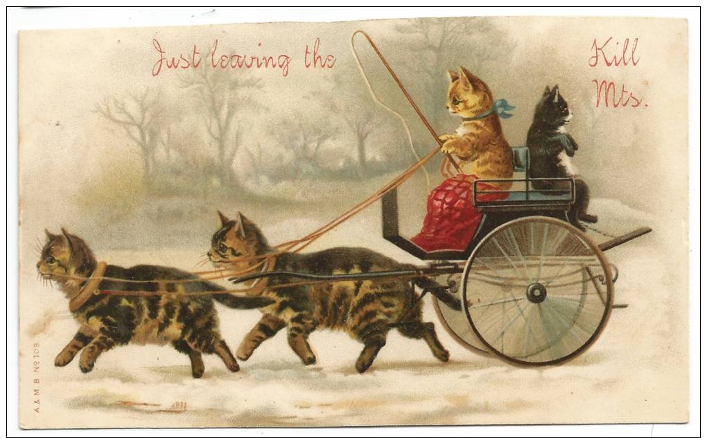 108. “Just Leaving The Catskill Mts.” Comic Postcard - Catskills