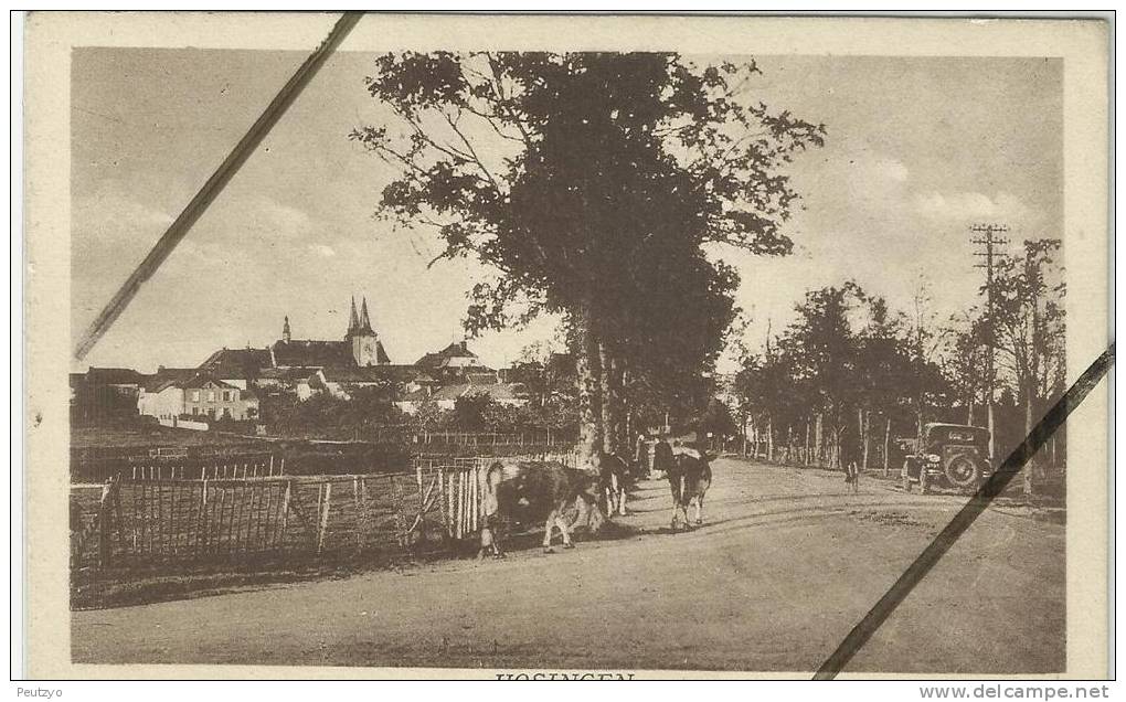 Cpa Luxembourg Hosingen Animée Voiture Animaux 1941 - Autres & Non Classés