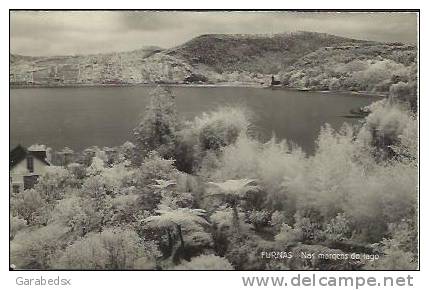 CPA / Old Postcard / FURNAS - Nas Margens Do Lago. - Açores