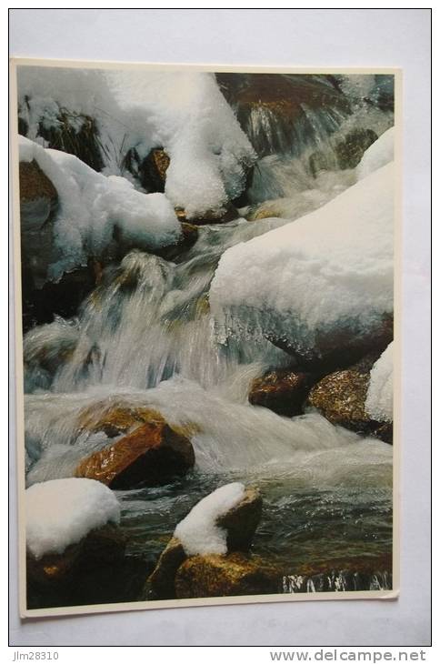 Snowbound Brook  - Tushar Range Utah - Autres & Non Classés
