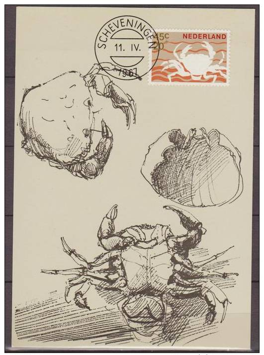 Nederland, 1967, Sea Life, Maritime Life, Lobster, Maximum Card - Maritiem Leven