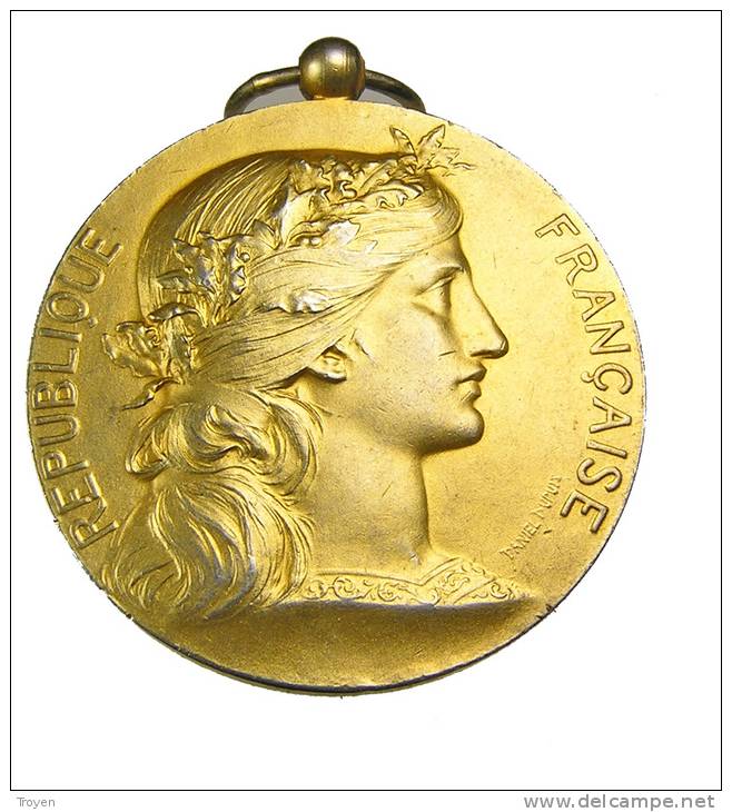 Médaille - Société Industrielle De L'Est - Argent Doré (vermeil) -  41mm - 37,10gr. - TTB - Professionals / Firms