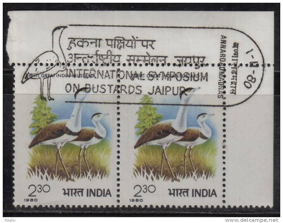 First Day Postmark On Mint Pair, India 1980 Bustards, Bustard Bird - Cigognes & échassiers