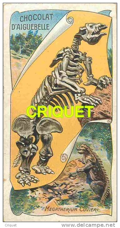 Chromo Aiguebelle, Les Fossiles, Megaterium Cuvieri - Aiguebelle