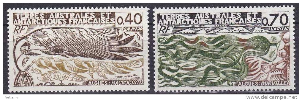 LOT 78 TAAF N°68 & 69** - Unused Stamps