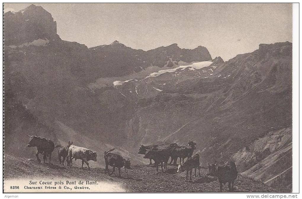 3982 - Sur Coeur Près Pont De Nant - Sonstige & Ohne Zuordnung