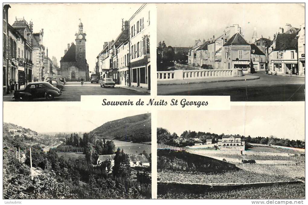 21 NUITS SAINT GEORGES SOUVENIR DE - Nuits Saint Georges