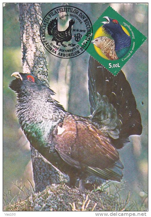 COCK, 2012, CM.MAXI CARD CARTES MAXIMUM, ROMANIA - Coucous, Touracos