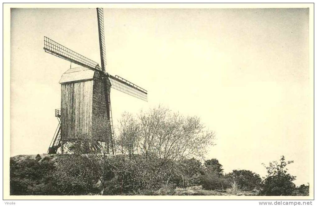 Belgique  : Réf : H-12-0868 : Coxyde Sur Mer  Le Moulin à Vent - Koksijde